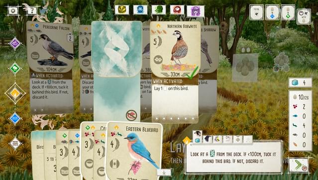 Wingspan Gameplay Screenshot